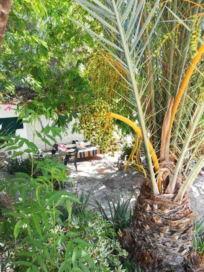 Casa Mamanena Guest House Mogán Екстериор снимка